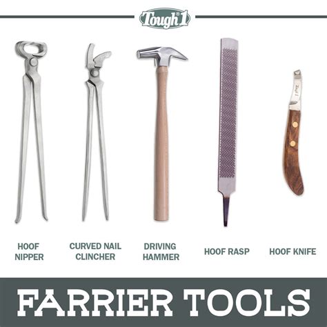 Farrier Equipment