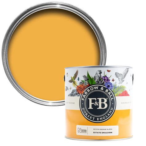 Dutch Orange Paint Farrow And Ball View Painting