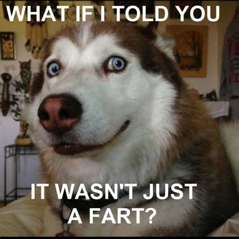 Fart Meme