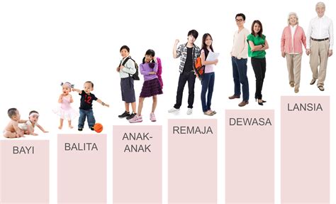 fase fase perkembangan anak