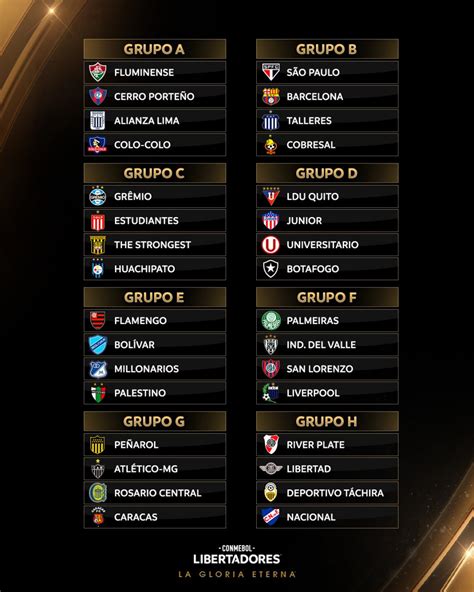 fase grupos libertadores 2024