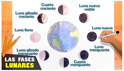 Álbumes 96+ Foto Fases De La Luna Para Dibujar Mirada Tensa