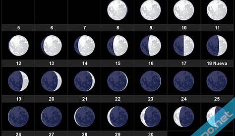 Calendario lunar de junio | Calendario lunar, Calendario lunar junio
