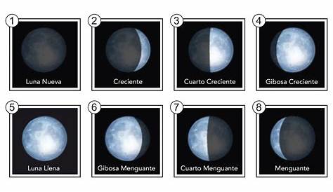 Nombres de las fases de la luna vistas desde el hemisferio norte de la