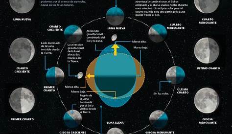 Fases De La Luna | Fases de la luna, Calendario lunar 2018, Calendario