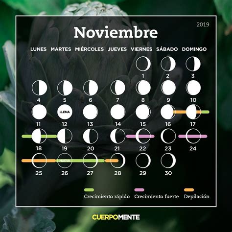 fases de la luna en noviembre 2022