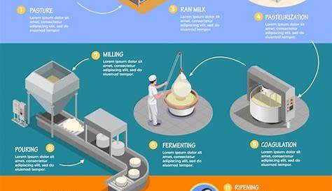 Processo di produzione del formaggio - Version Travel (IT)