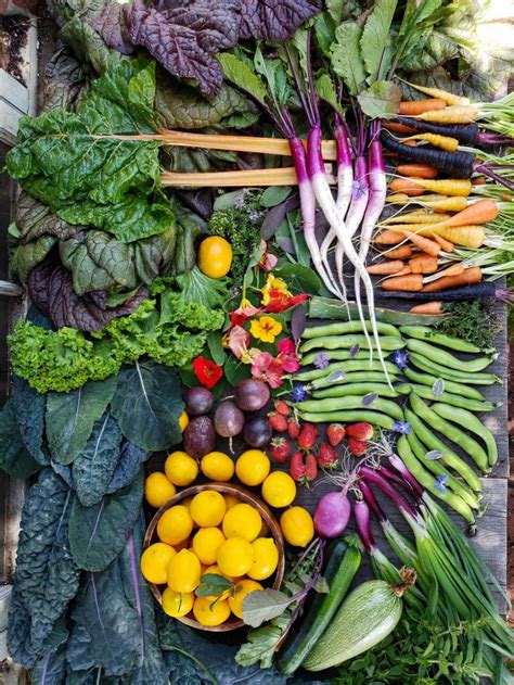 12 FastGrowing Vegetables for Your Home Garden Bob Vila