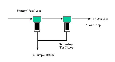 fast loop sampling system definition