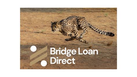 fastest bridging loans
