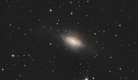Fat Bubble Galaxy NGC 3521 The Bart Delsaert Astrophotography