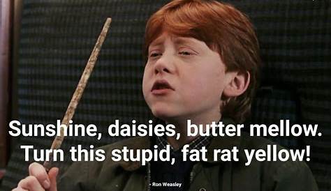 Fat Rat Yellow Spell Harry Potter Chubs! Cute s Pet s Animals