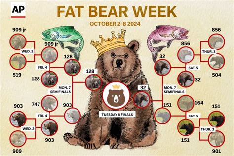 fat bear week 2025