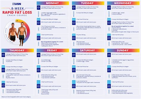 Fat Loss Program Pdf