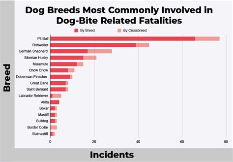 fatal dog attack statistics by breed