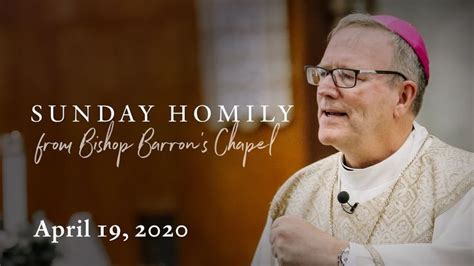 father barron sunday homily