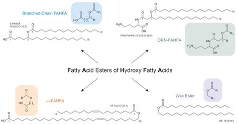 Fatty Acid And Ester Content