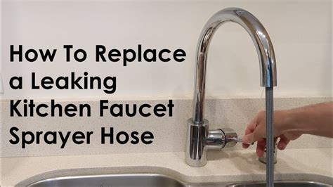Faucet Spray Hose Leaking