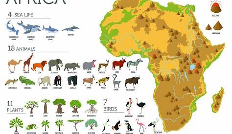 Fauna Afryki / Zwierzęta Afryki | | DinoAnimals.pl