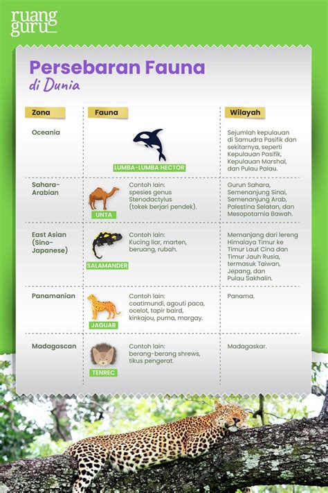 Fauna adalah seluruh hewan yang hidup di habitat, ini penjabarann