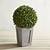 faux boxwood for outdoor planter