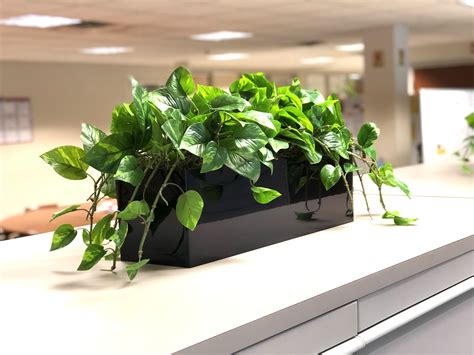 realistic fake plant fake plants office plants office decor the silk