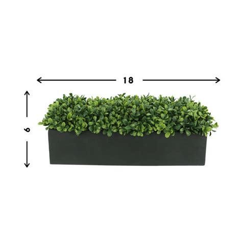 Faux Boxwood In Rectangular Planter