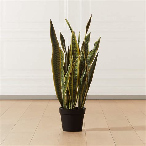 faux potted snake plant