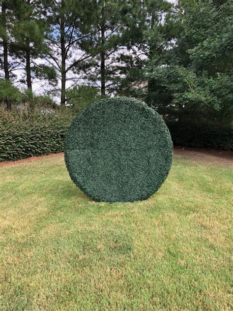 Faux Shrub Wall