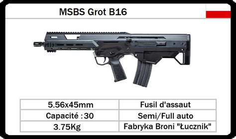 fb msbs grot b16