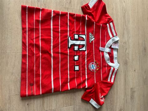 fc bayern trikot kinder 116