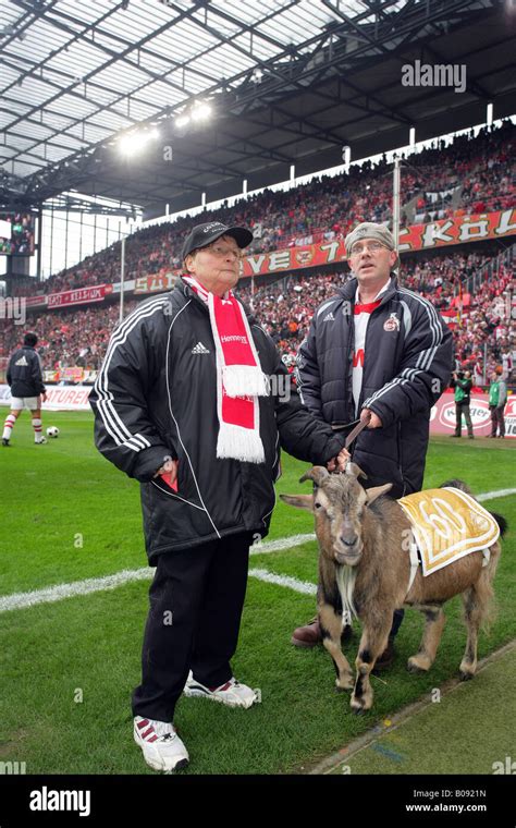 fc koeln mascot