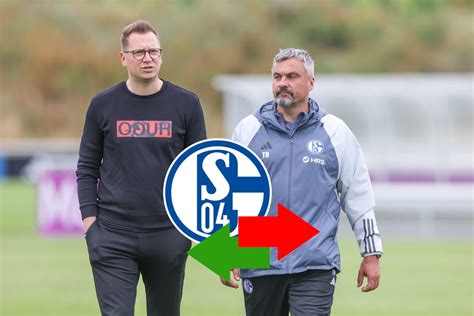 fc schalke news transfers