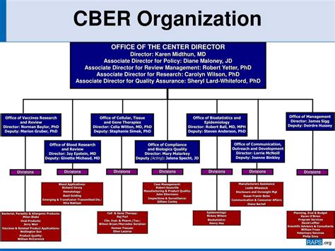 Fda Cber Org Chart