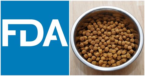fda claims dogs food dcm