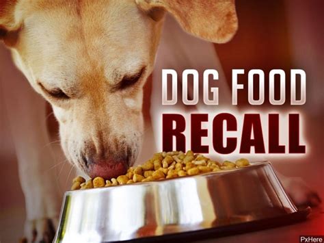 fda expands recall of pet food