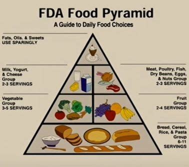 fda food pyramid 2022