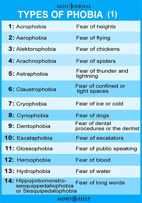 fear of fear phobia name
