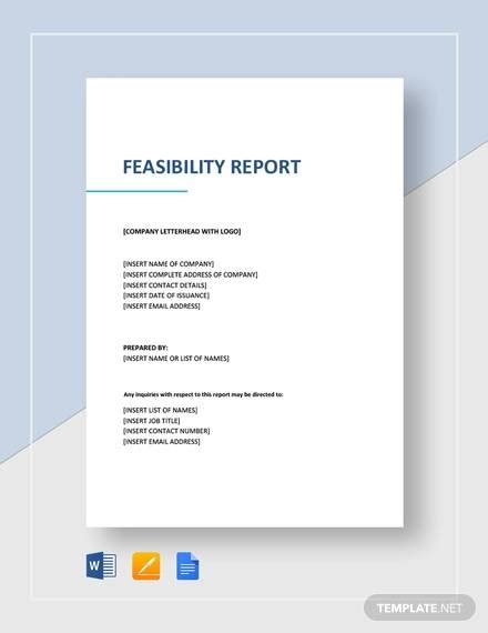 feasibility study report format pdf