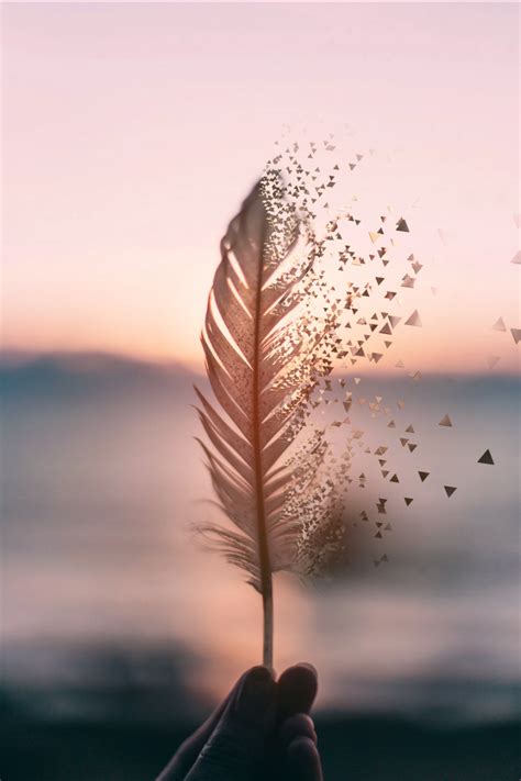 Discover the Beauty of Feather Backgrounds on Tumblr: Stunning Designs for Your Blog!