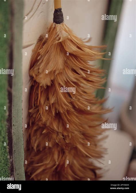 Feather Duster Slang