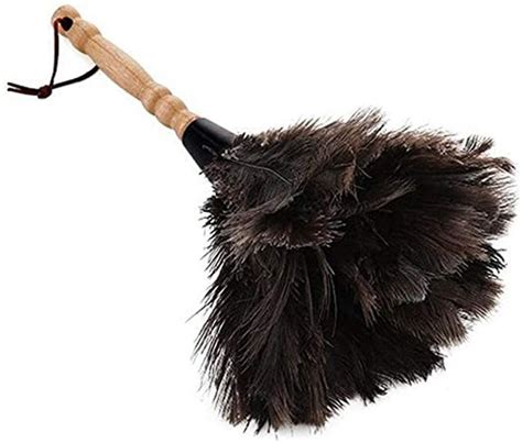 Feather Duster Walmart