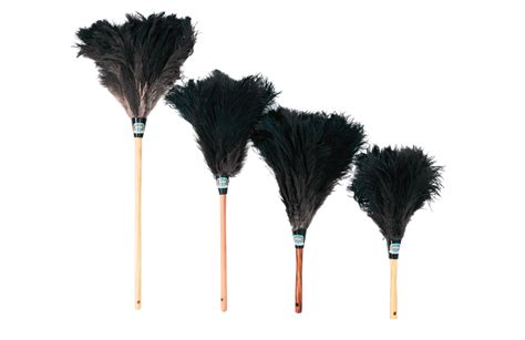 Feather Dusters Work