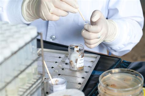 Accurate Diagnostics: The Importance of Fecal Matter Testing