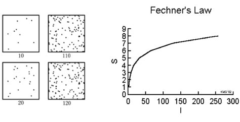Fechners Law Explained Simple and Interesting for Beginners