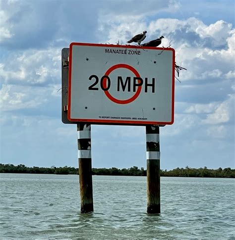 federal boating speed limit