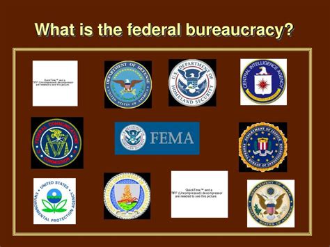 federal bureaucracy examples