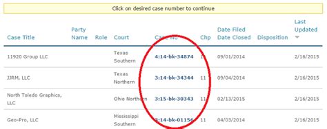 federal court case lookup by name