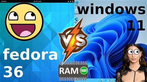 fedora vs windows 11