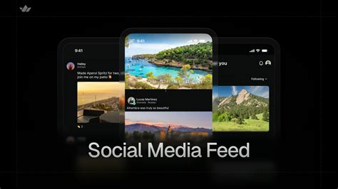 feed